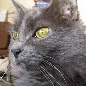 Meet your Posher, Kellie